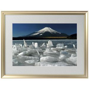 ポイント10倍 奇跡の写真 秋元 隆良 「ガジュマルの精霊（キジムナー