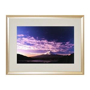 ポイント10倍 奇跡の写真 秋元 隆良 「ガジュマルの精霊（キジムナー