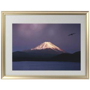 ポイント10倍 奇跡の写真 秋元 隆良 「ガジュマルの精霊（キジムナー