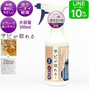 サビ落とし サビが取れる 泡スプレー サビ取り 鉄粉除去 車 自転車 サビとり剤 ステンレスクリーナー 300ml｜cubic-square