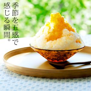 かき氷 器 ガラス 庄内クラフト デザートボウ...の詳細画像1