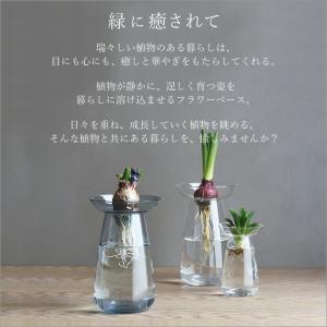 球根 水栽培 アクアカルチャーベース AQUA...の詳細画像4