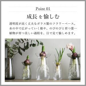 球根 水栽培 アクアカルチャーベース AQUA...の詳細画像5