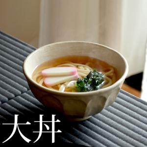 どんぶり 大 リンカ 白練 大丼 カネコ小兵 丼 丼ぶり ボウル うどん ラーメン ラーメン鉢 盛鉢 和食器 食器 和風 おしゃれ