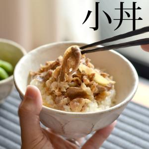 どんぶり 小 リンカ 白練 小丼 カネコ小兵 丼 丼ぶり お茶碗 茶碗 ご飯茶碗 ご飯 ごはん 器 電子レンジ 食洗機対応 和食器 食器