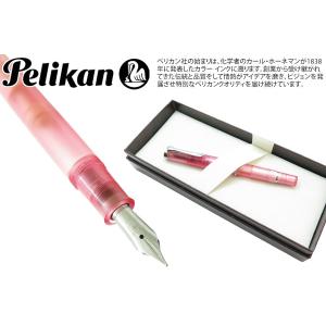 Pelikan（ペリカン） 限定 クラシック M205 万年筆 デュオ ネオン BB