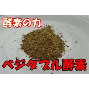 ベジタブル酵素　1kg　犬用　ミルク　サプリメント　野菜