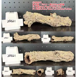 お任せ 20×50cm コルク樹皮 コルク板 バージンコルク チランジア