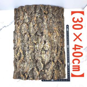 251035 ポルトガル産 キャノンコルク コルク樹皮 コルク板 バージン