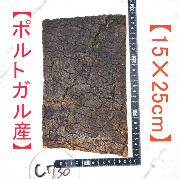 c730 ポルトガル産15×25cm コルク樹皮 コルク板 バージンコルク 送料無料　　 チランジア...