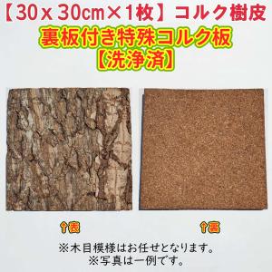 園芸用コルクバージンコルクディスプレイ 特大/（06kg〜1.5kg 7〜12本