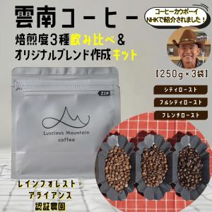 TV紹介農園！　250g×3袋　雲南コーヒー　焙煎度3種飲み比べセット　スペシャルテ...