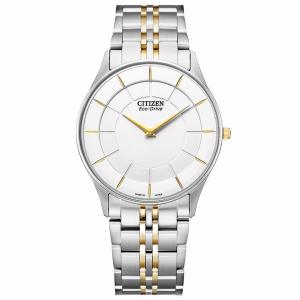 AR3014-56A シチズン シチズンコレクション エコドライブ CITIZEN CITIZENCOLLECTION Eco-Drive メンズ 腕時計｜cuore