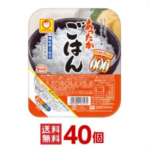 マルちゃん 東洋水産 玄米ごはん 160g 4ケース 合計40個分 送料無料