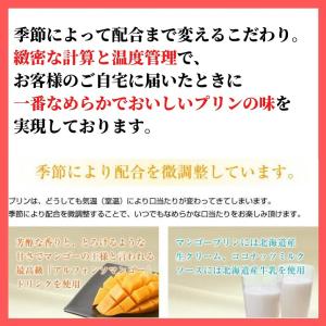 お中元 夏ギフト 過門香 杏仁豆腐/マンゴープ...の詳細画像5