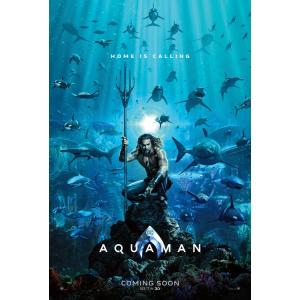 【大判】映画ポスター 海外版 アクアマン (68.5 cm x 101.5 cm) MPS-EB08...