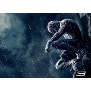 映画ポスター 海外版 スパイダーマン3 (28 cm x 43 cm) MPS-EB62793｜curacion