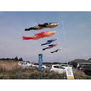 鯨のぼり(紺・赤・紅白・黒)5mの詳細画像4