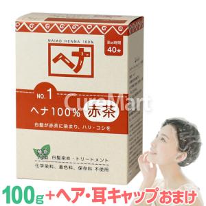 naiad ヘナ No.4 黒茶 2箱セット　45gのオマケつき naiad（ナイアード） ヘナ+木藍 黒茶 No.4 徳用400g（100g×4袋