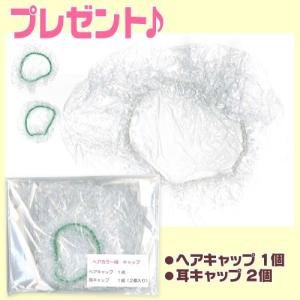 送料無料/ グリーンノート ヘナ オーガニータ...の詳細画像1