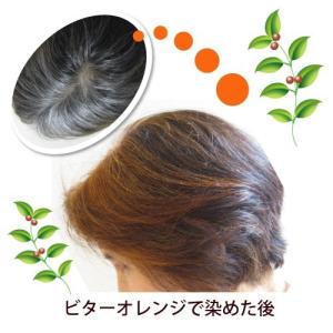 送料無料/ グリーンノート ヘナ オーガニータ...の詳細画像2