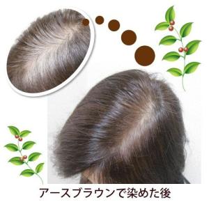 送料無料/ グリーンノート ヘナ オーガニータ...の詳細画像2