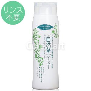 グリーンノート 自然葉シャンプー 300mL◇2本セット ヘナ染め専用