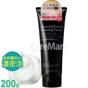 PLATINUM LABEL プラチナレーベル CICA クレンジング 洗顔料 200g 日本