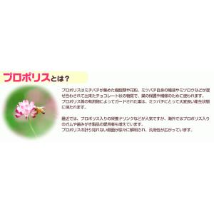 エスタプロント ファミリーパック 770mL(...の詳細画像1