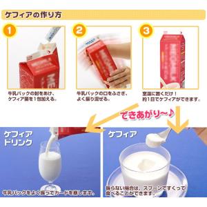 ホームメイド ケフィア (10パック入)◆3箱...の詳細画像4