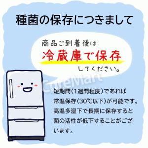 ホームメイド ケフィア (10パック入)◆3箱...の詳細画像5