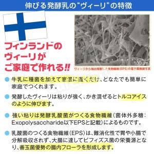 [期間外]ヴィーリ VIILI 1箱(10パッ...の詳細画像3