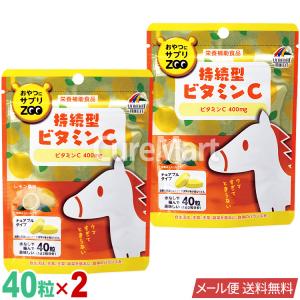 Amway アムウェイ スプリーデント 2ミニッツ 電動パワー歯ブラシ 交換