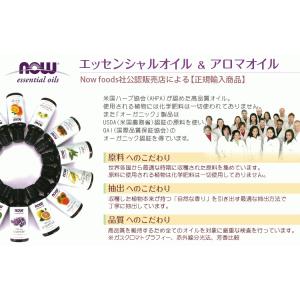 クローブ 精油 30mL クローブオイル NO...の詳細画像4