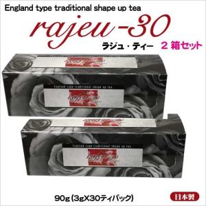 マナ酵素 500ml 2本セット ファスティング ドリンク MANA酵素 酵素