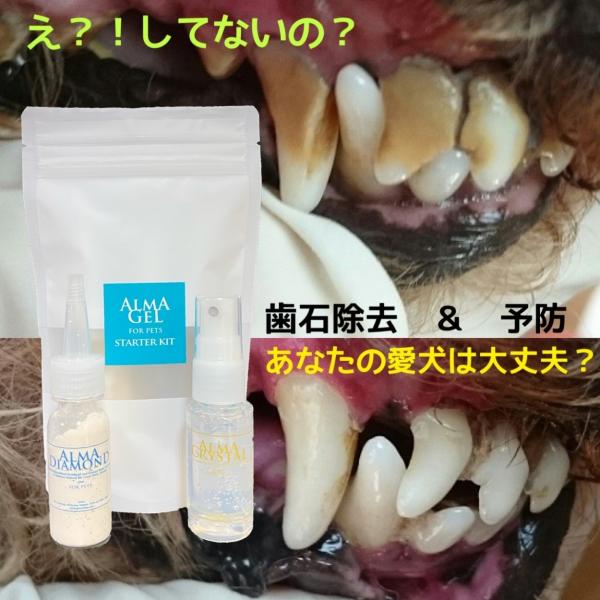 犬 猫 歯石除去 スターターキット 歯石とり 口臭ケア グッズ 自宅 歯磨き ジェル セット ペット...