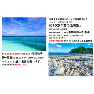 犬 猫 歯石ケア 歯磨きジェル スターターキッ...の詳細画像1