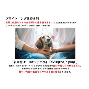 犬 猫 歯石ケア 歯磨きジェル スターターキッ...の詳細画像2