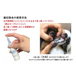 犬 猫 歯石ケア 歯磨きジェル スターターキッ...の詳細画像4