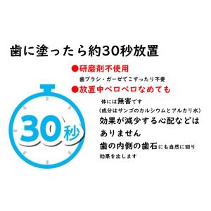 犬 猫 歯石ケア 歯磨きジェル スターターキッ...の詳細画像5