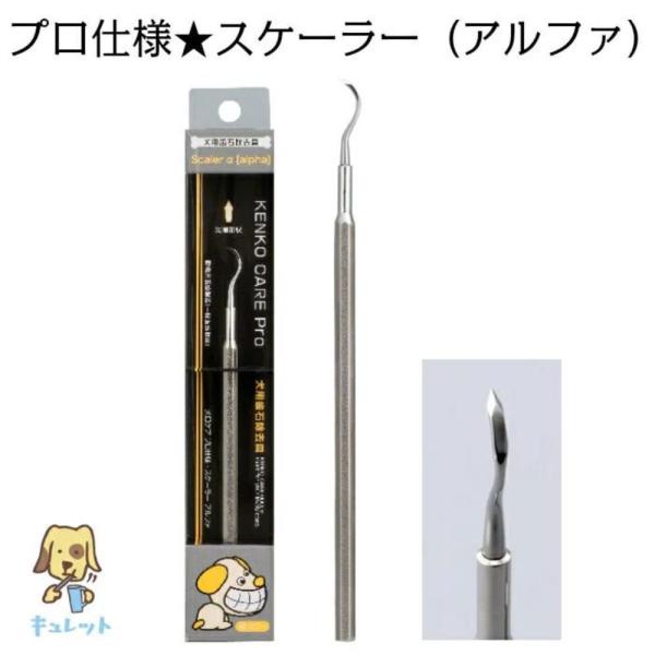 犬 猫 歯石取り 歯石除去 歯磨き プロ仕様 スケーラー アルファ 1本