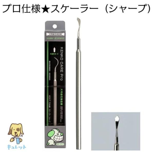 犬 猫 歯石取り 歯石除去 歯磨き プロ仕様 スケーラー シャープ 1本