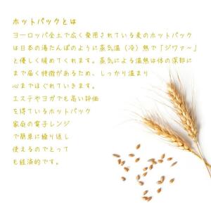 ホットパック 電子レンジ レンジ 家庭用 腰 ...の詳細画像1