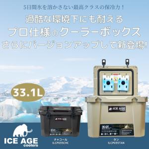 DOMETIC（ドメティック） ポータブル2wayコンプレッサー冷凍庫/冷蔵庫