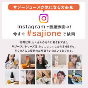サジージュース 300ml サジー SajiO...の詳細画像2