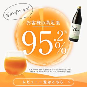 サジージュース SajiOneオーガニック 9...の詳細画像2