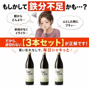 サジージュース サジー ワン SajiOne ...の詳細画像2
