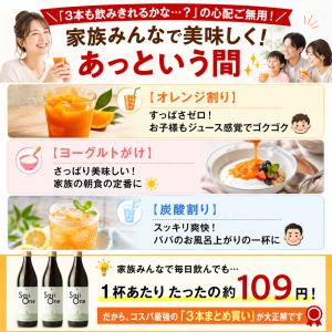 サジージュース サジー ワン SajiOne ...の詳細画像5