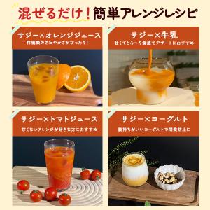 サジージュース SajiOne 柑橘ブレンド ...の詳細画像4
