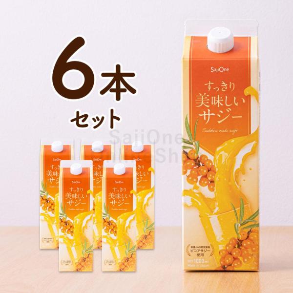 サジージュース SajiOne すっきり美味しいサジー 1000ml 6本セット 鉄分補給 サジーワ...